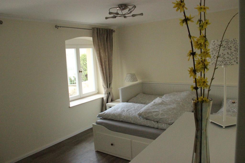 Ferienwohnung An Der Elbe Дрезден Экстерьер фото